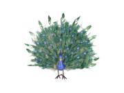 2 Colorful Green Regal Peacock Bird with Open Tail Feathers Christmas Decoration