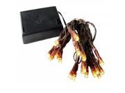20 Battery Operated Warm Clear LED Wide Angle Christmas Lights Brown Wire