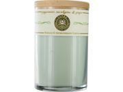 Peppermint Eucalyptus Ginger by Terra Essential Scents MASSAGE AROMATHERAPY SOY CANDLE 12 OZ TUMBLER. A REFRESHING STIMULATING BLEND WITH CLEAR QUARTZ GE
