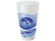 Horizon Foam Cup Hot Cold 20oz. Printed Blueberry White 25 Bag 20 CT