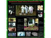 American Educational Examining Crime Scene Investigation Forensics Poster 38 Length x 27 Width