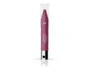 UPC 885880853973 product image for Neutrogena Moisturesmooth Color Stick, 40 Bright Berry, .011 Oz. | upcitemdb.com