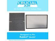 Air Filter Carbon Filter Kit Fits Rabbit BioGS BioGP SPA 421A SPA 582A Designed Engineered by Crucial Air