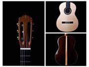 Cordoba Luthier Series C12 Classical Acoustic Guitar with Case