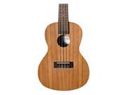 Cordoba UP100 Concert Ukulele Pack