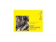 Strathmore 300 Series Newsprint Paper Pads rough 60 sheets 18 in. x 24 in. [Pack of 2]