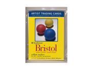 Strathmore Artist Trading Cards 300 Series Bristol Vellum pack of 20 [Pack of 6]
