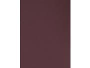 Canson Mi Teintes Tinted Paper burgundy 19 in. x 25 in. [Pack of 10]