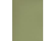 Canson Mi Teintes Tinted Paper light green 19 in. x 25 in.