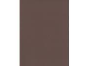 Canson Mi Teintes Tinted Paper sepia 19 in. x 25 in. [Pack of 10]