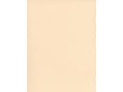 Canson Mi Teintes Tinted Paper ivory 19 in. x 25 in. [Pack of 10]
