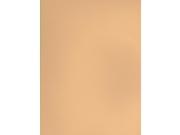 Canson Mi Teintes Tinted Paper champagne 19 in. x 25 in.