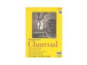 Strathmore 300 Series Charcoal Paper Pads 9 in. x 12 in. 32 sheets