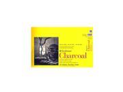 Strathmore 300 Series Charcoal Paper Pads 11 in. x 17 in. 32 sheets