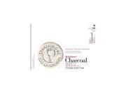 Strathmore 500 Series Charcoal Paper Pads assorted tints 18 in. x 24 in.