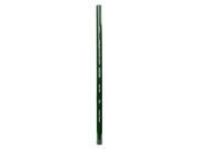Prismacolor Verithin Colored Pencils Each grass green 738 [Pack of 24]