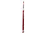 Derwent Pastel Pencils maroon P170
