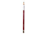 Derwent Pastel Pencils brown earth P550