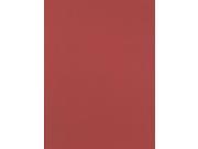 Canson Mi Teintes Mat Board red earth 16 in. x 20 in.