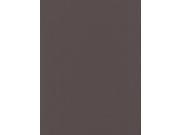 Canson Mi Teintes Mat Board dark gray 16 in. x 20 in.