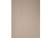 Canson Mi Teintes Mat Board moonstone 16 in. x 20 in.