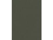 Canson Mi Teintes Mat Board ivy 16 in. x 20 in. [Pack of 5]