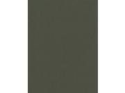 Canson Mi Teintes Mat Board ivy 16 in. x 20 in.