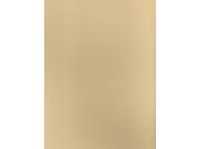 Canson Mi Teintes Mat Board cream 16 in. x 20 in. [Pack of 5]