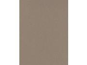 Canson Mi Teintes Mat Board felt gray 16 in. x 20 in.