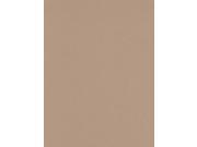 Canson Mi Teintes Mat Board sand 16 in. x 20 in. [Pack of 5]