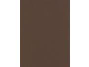 Canson Mi Teintes Mat Board tobacco 16 in. x 20 in.