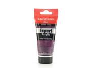 Canson Inc Expert Acrylic Tubes permanent red violet 75 ml [Pack of 2]