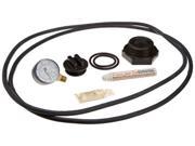 Pentair 27001 0140 Accessory Package Replacement Sta Rite Pool Spa D.E. and Cartridge Filter