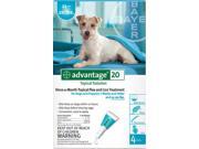 Advantage TEAL 20 4 4 month supply of Advantage