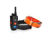 Dogtra ARC 2 Dogtra ARC Remote Trainer 2 Dog System