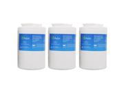 Eco Aqua Replacement Water Filter for GE PSS26LGSCCC PZS23KGEBB PSS27NGSCCC ZISB480DRF Refrigerators 3 Pack