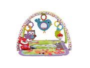 Fisher Price 3 in 1 Musical Activity Gym 3 in 1 Musical Activity Gym