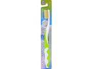 Mouth Watchers 0727867 Antibacterial Adult Toothbrush Display Case Green Case of 20