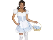 Sexy Adult Costume Dorothy Wizard of Oz Dress Outfit