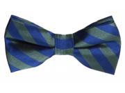 Mens 20s Green Blue Striped Bow Tie Costume Accessory