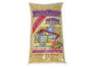 Great Northern Popcorn 5 Pounds Bulk GNP Premium White Gourmet Popping Popcorn