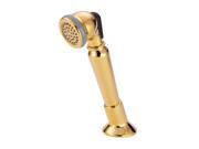 Danze D491110PBV Traditional Personal Spray Kit for Roman Tub Polished Brass