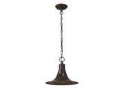 World Imports 9095 89 Dark Sky Kingston Clct Outdoor Hanging Pendant Lgt Bronze