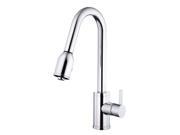 Danze D454530 Amalfi Pull Down Kitchen Faucet Chrome