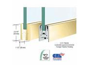 CRL Polished Brass Low Profile Door Rail Without Lock 8 Patch DR2SPB12P