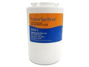 WaterSentinel WSG 1 Replacement for GE MWF Filter