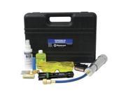 Rechargeable True UV Light with 25 Application Dye Kit