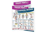 3 Pack Productive Fitness Trigger Points and Myofascial Release Poster Set