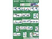 Upper and Lower Body Ball Exercise Poster by Productive Fitness