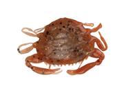 Gulp! Peeler Crab 2 New Penny